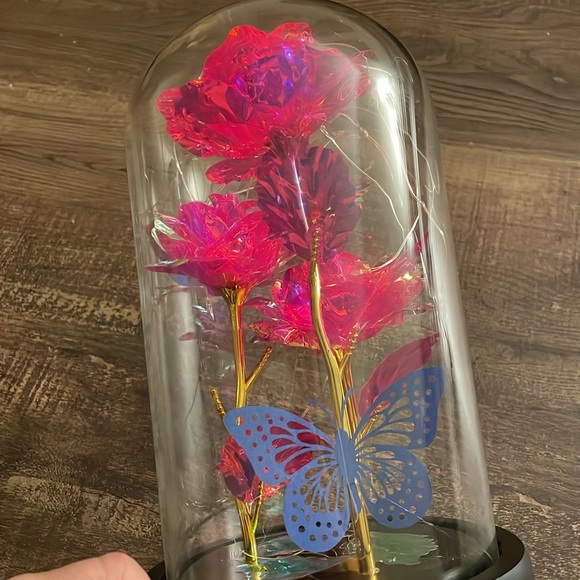 Red-Pink Light Up Roses - Picture 2 of 2